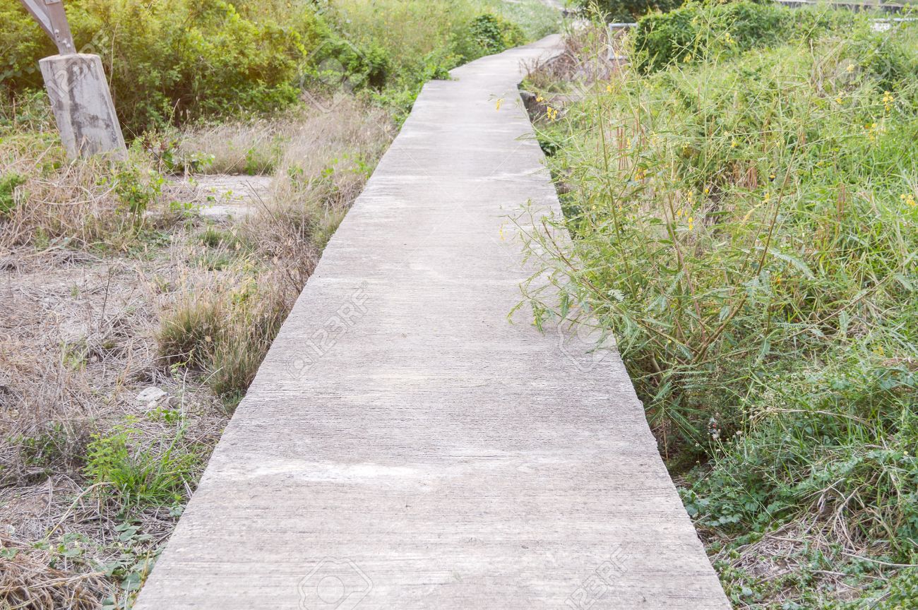 cement pathway in garden