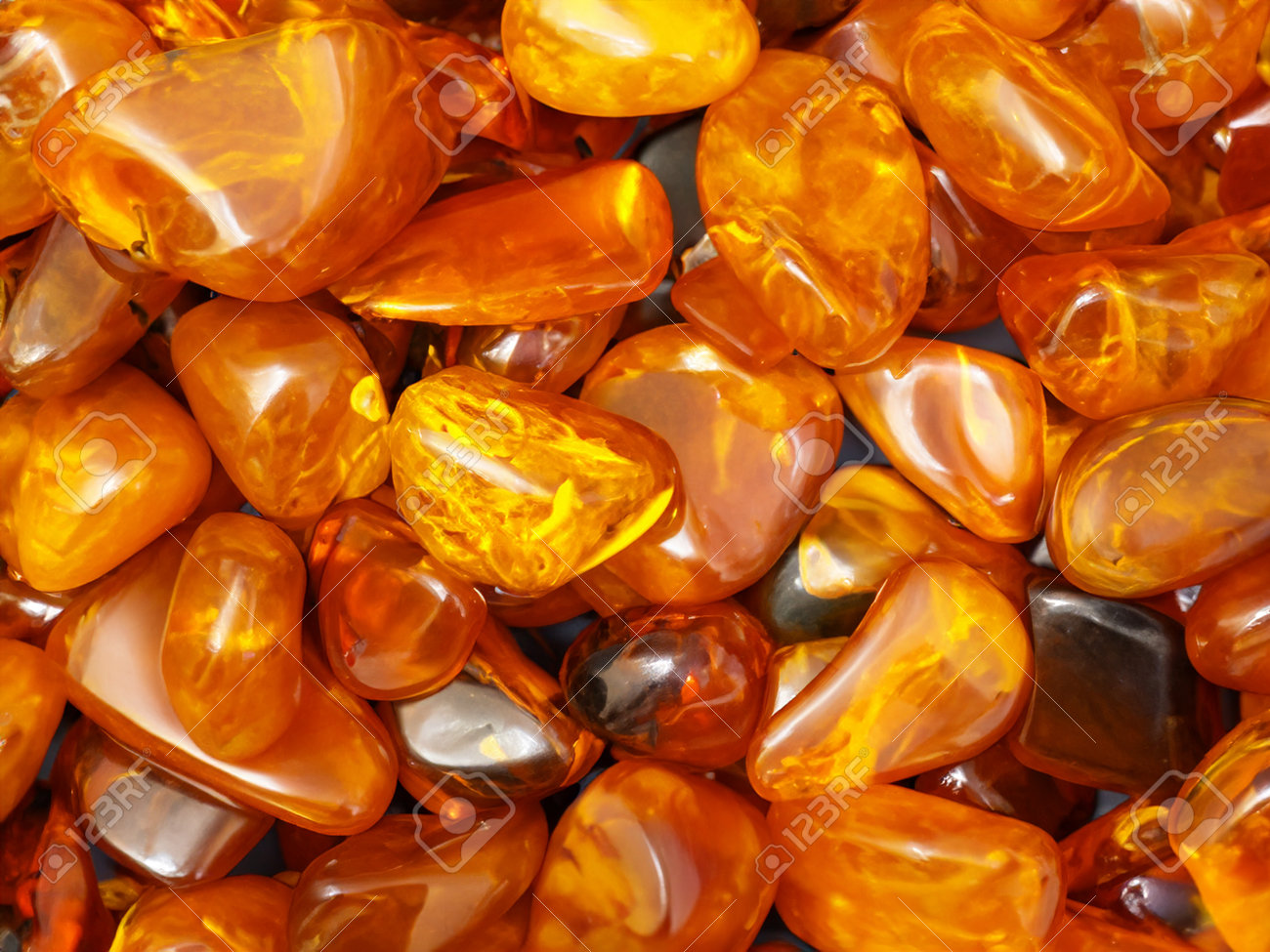 etiam-dictum-ipsum-a-felis