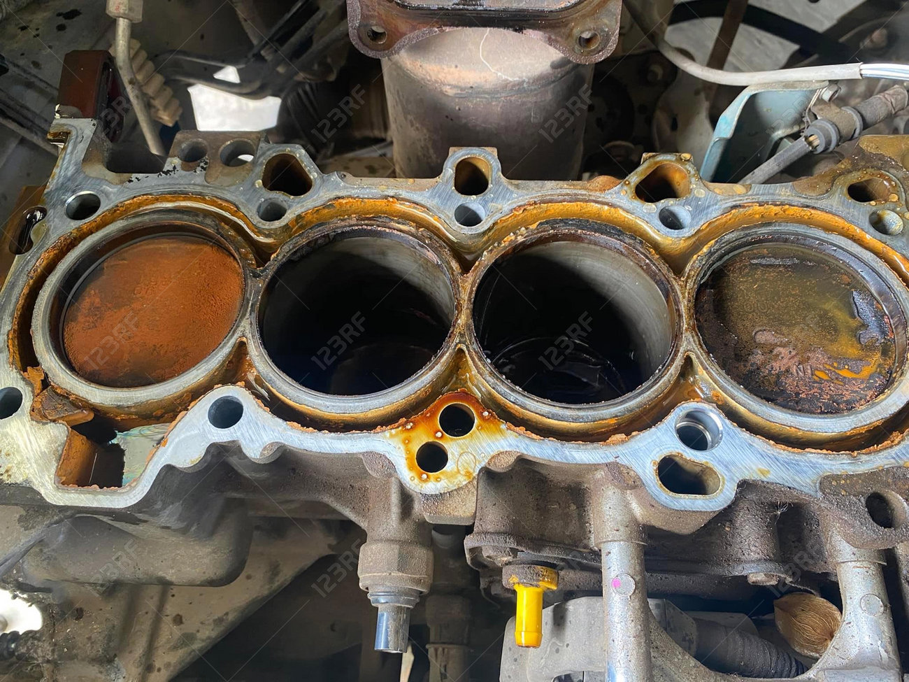 etiam-dictum-ipsum-a-felis