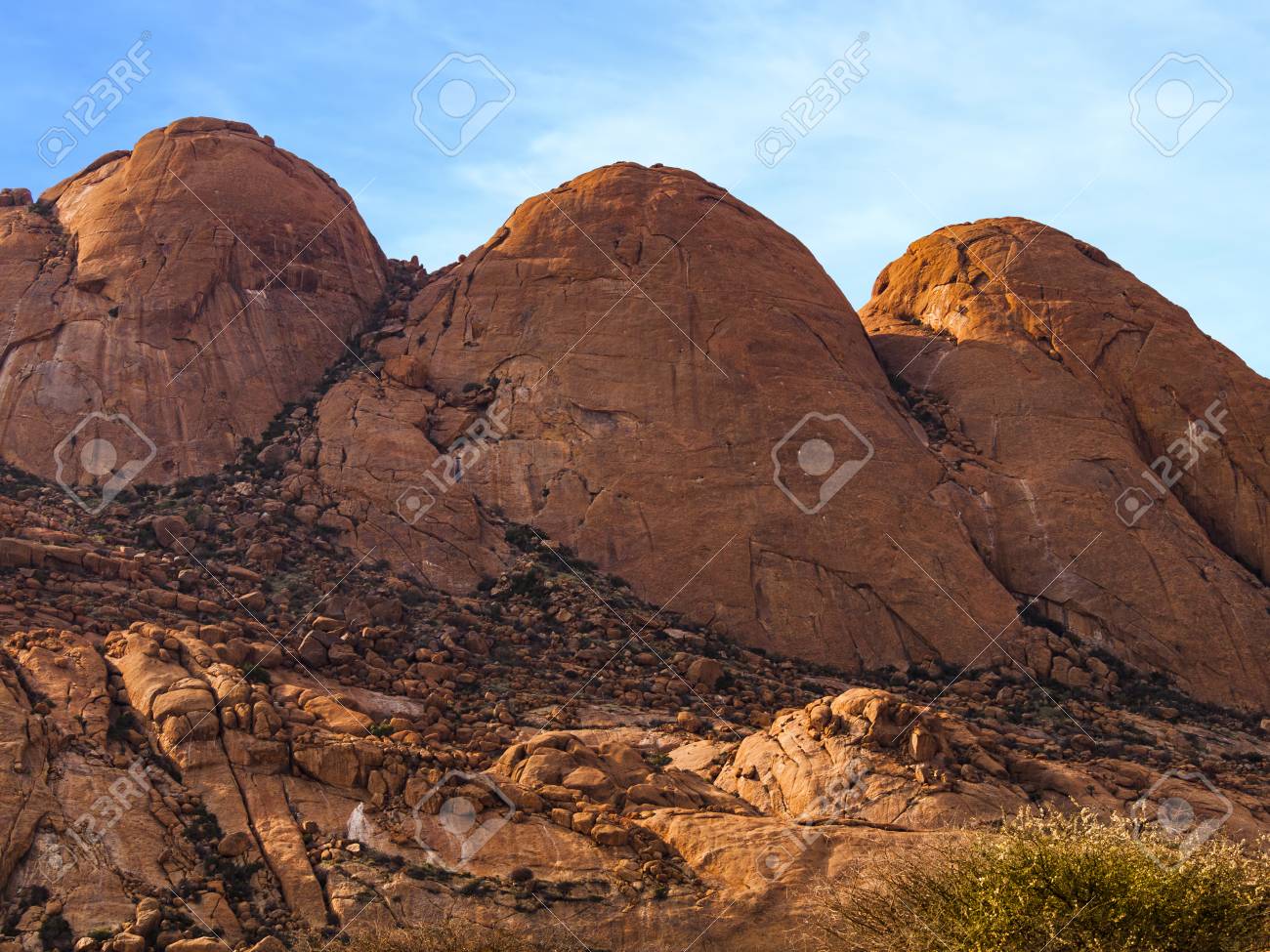 etiam-dictum-ipsum-a-felis