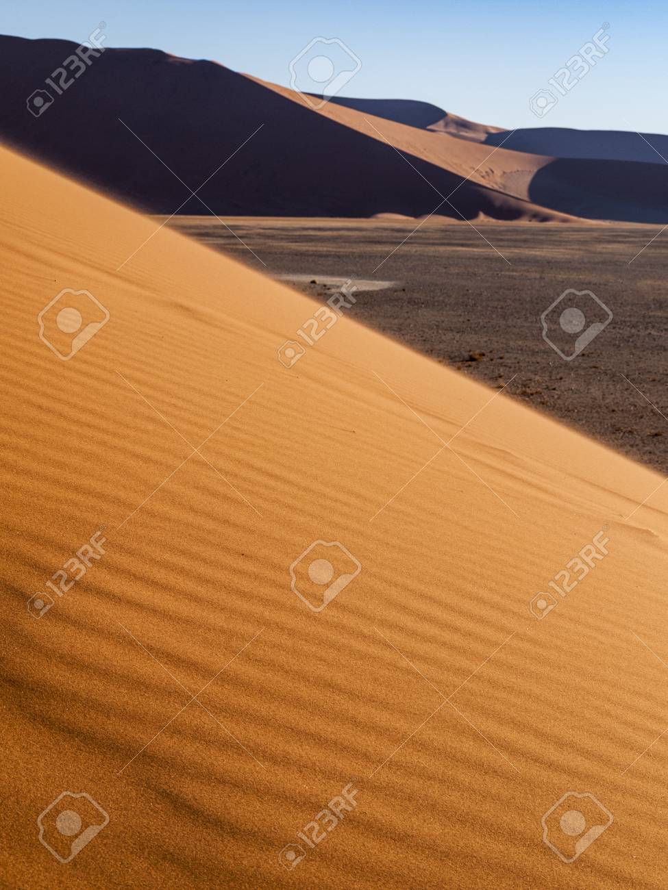 デューン 45 にナミブ国立ウクルフトパ セスリエム ナミビア の写真素材 画像素材 Image デューン 45 にナミブ国立ウクルフトパ セスリエム ナミビア の写真素材 画像素材 Image
