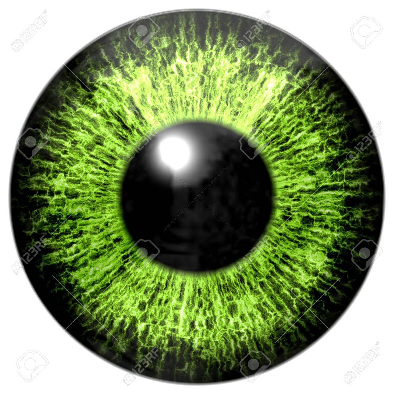 green eye iris stock