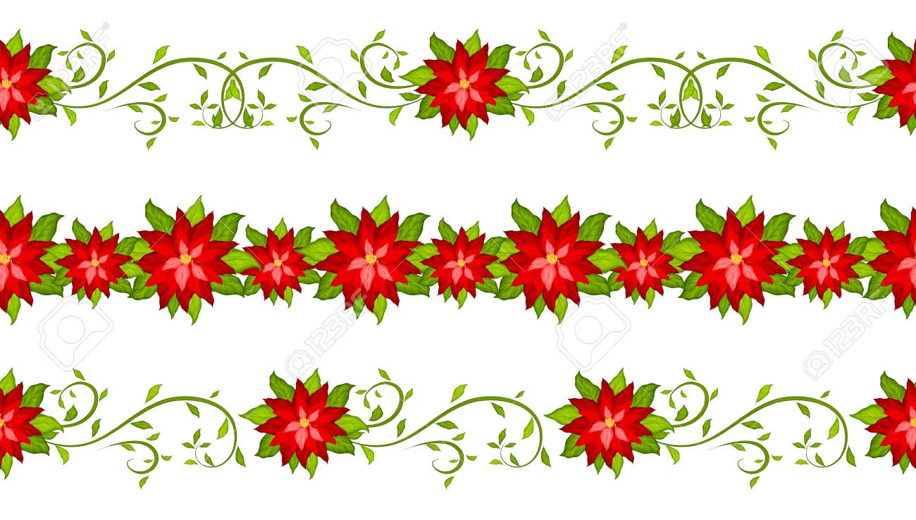 poinsettia borders