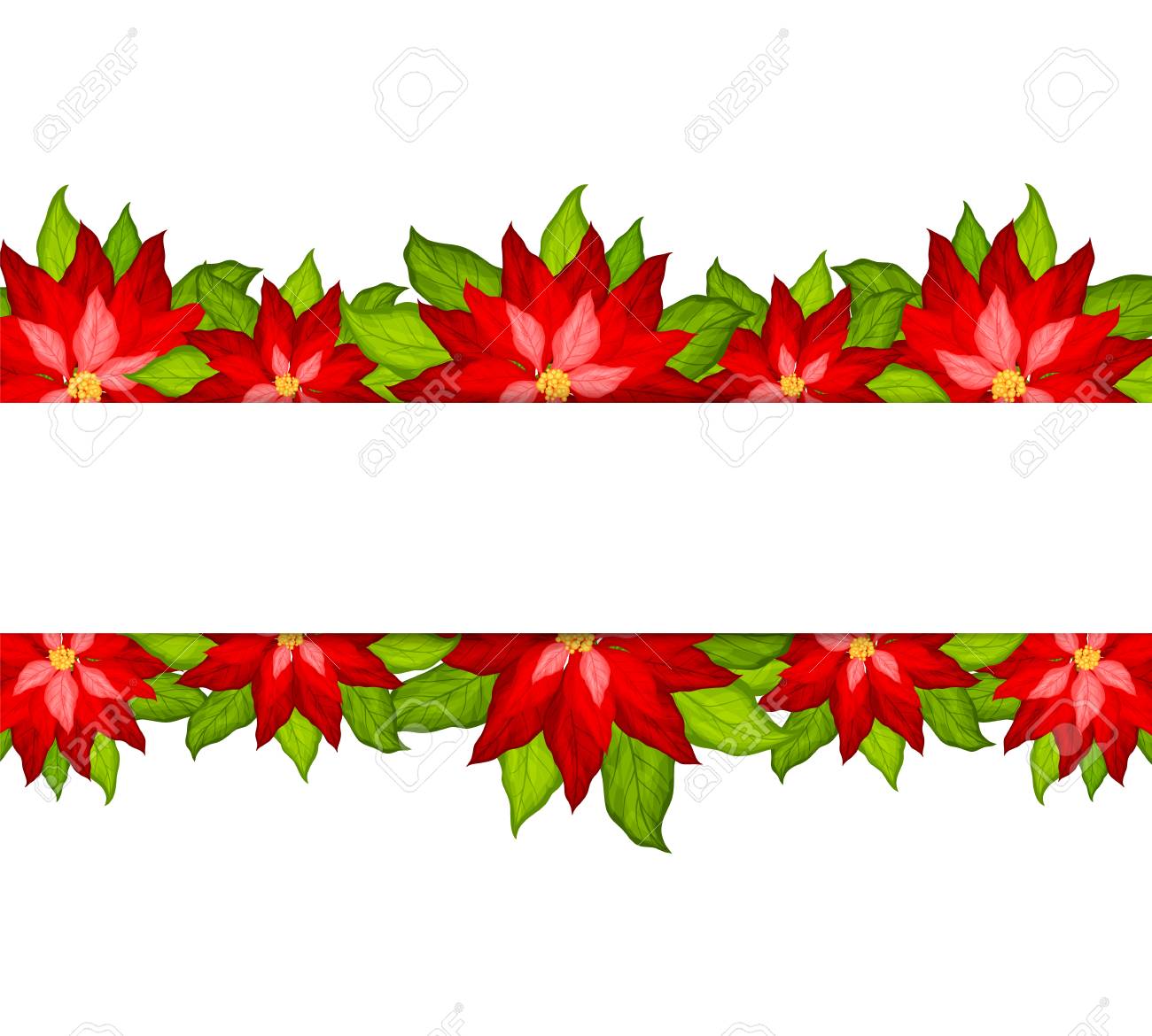 christmas background with poinsettia border vector poinsettia border