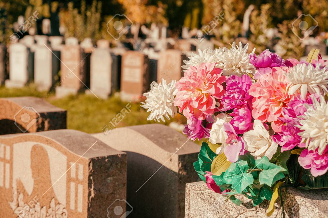 What are the flowers in the cemetery 2 What are the flowers in the cemetery 89
