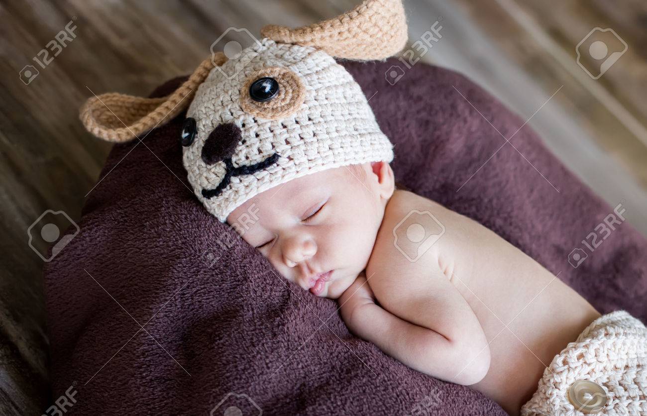生まれたばかりのかわいい赤ちゃんニット帽子犬で眠る の写真素材 画像素材 Image 生まれたばかりのかわいい赤ちゃんニット帽子犬で眠る の写真素材 画像素材 Image
