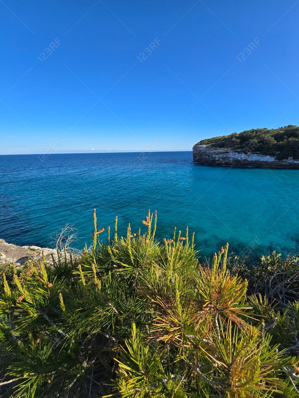 etiam-dictum-ipsum-a-felis