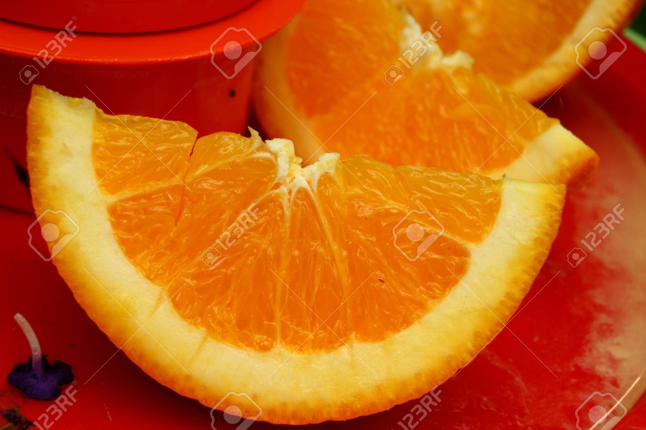 Orange Slices On A Butterfly Feeder Stock Photo Picture And