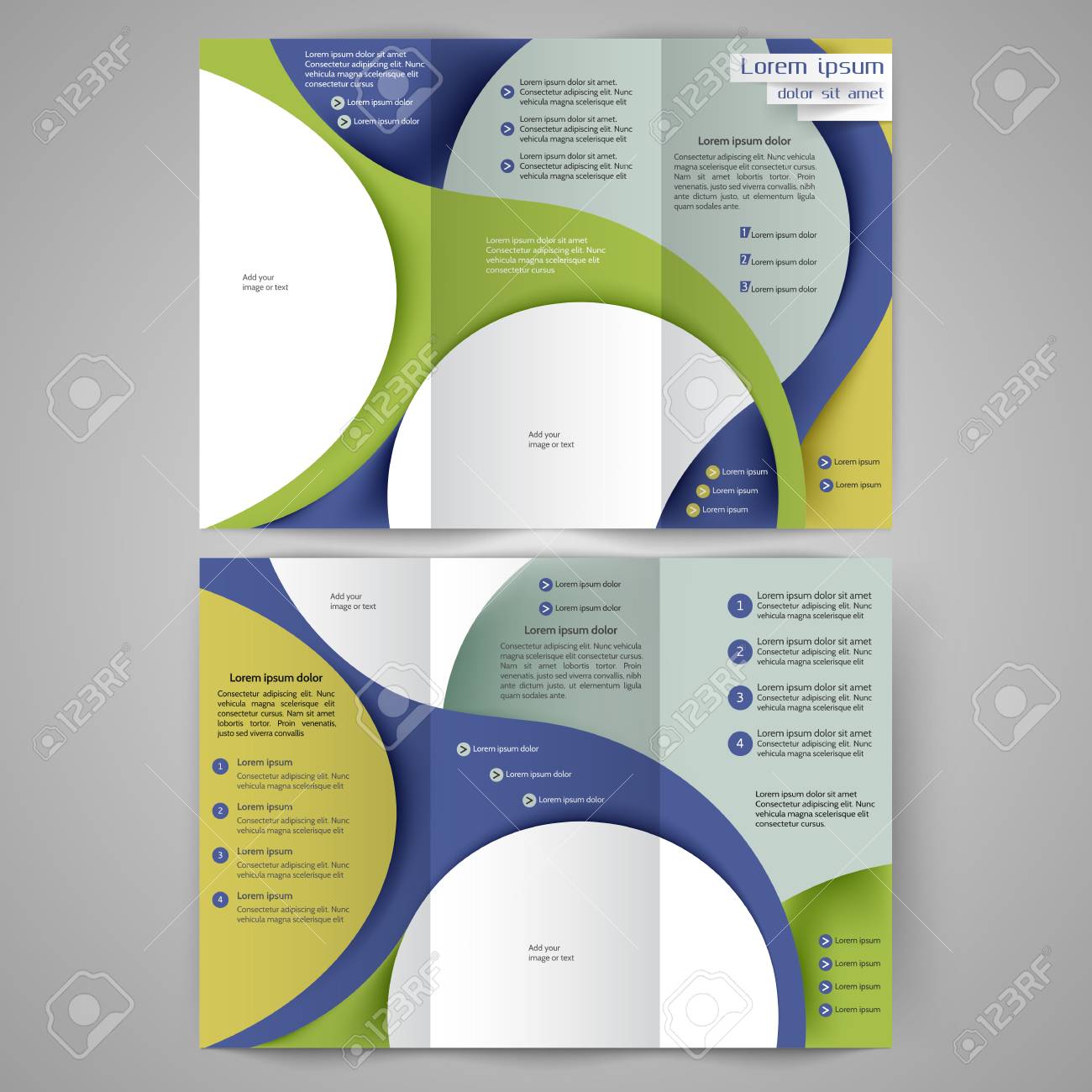 color tri fold business brochure design with abstract lines and