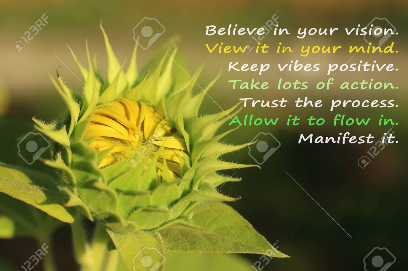 Inspirational Motivational Quote With Nature- Believe In Your Vision, Keep  Vibes Positive, Take Lots Of Action, Trust The Process, Allow It To Flow,  Manifest It. With Young Green Sunflower Ready To Bloom, image size:1300x866
