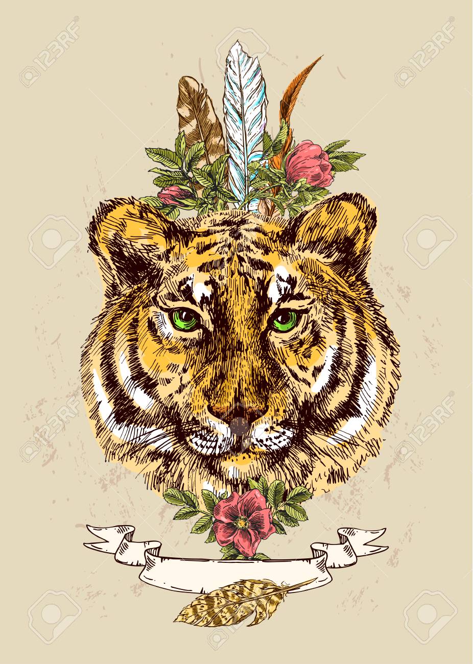 虎イラストの顔 のイラスト素材 ベクタ Image