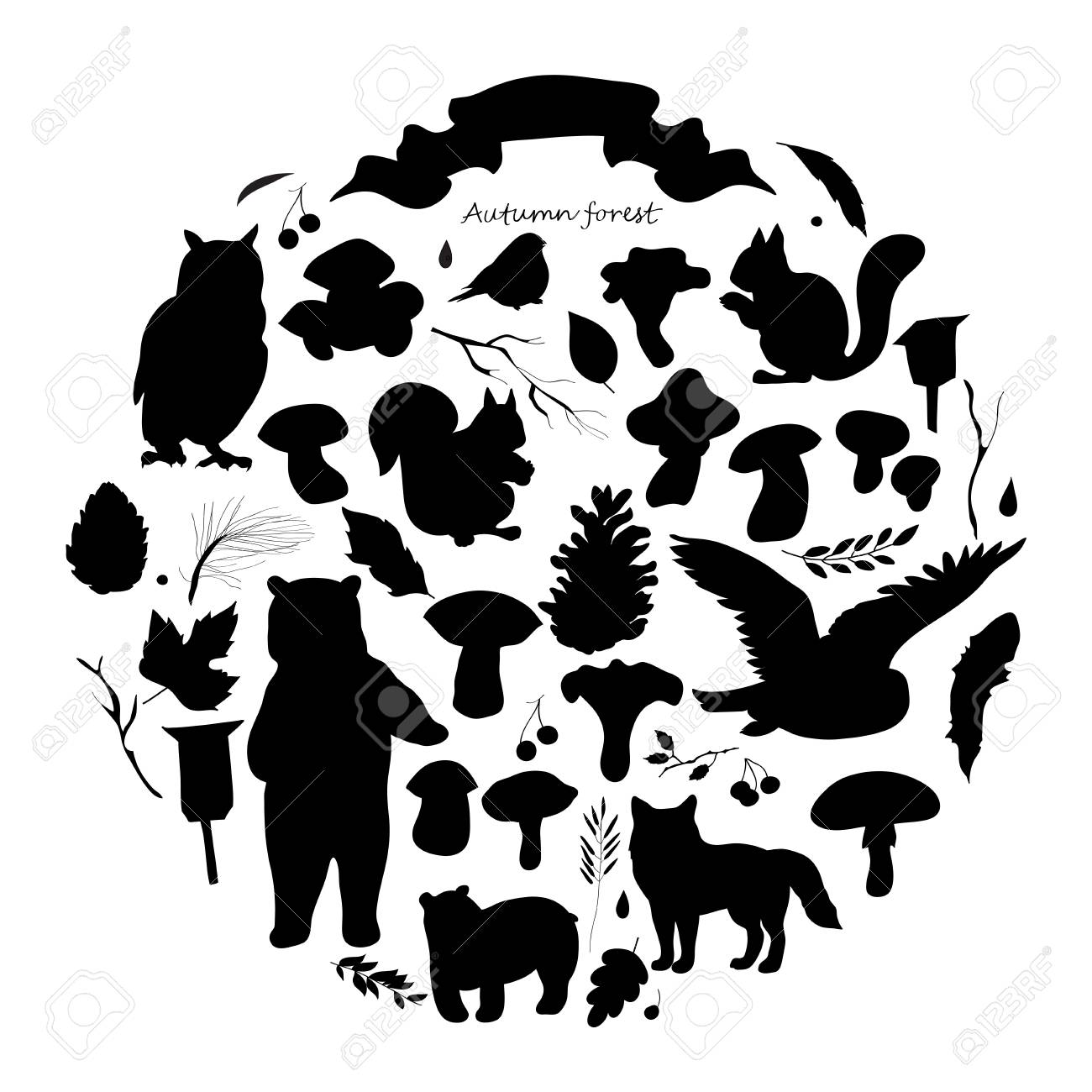 Set With The Image Of Leaves Branches Berries Flowers Animals And Birds Autumn Elements Bear Squirrels Fox Owl Black And White Silhouette Vector Royalty Free Cliparts Vectors And Stock Illustration Image