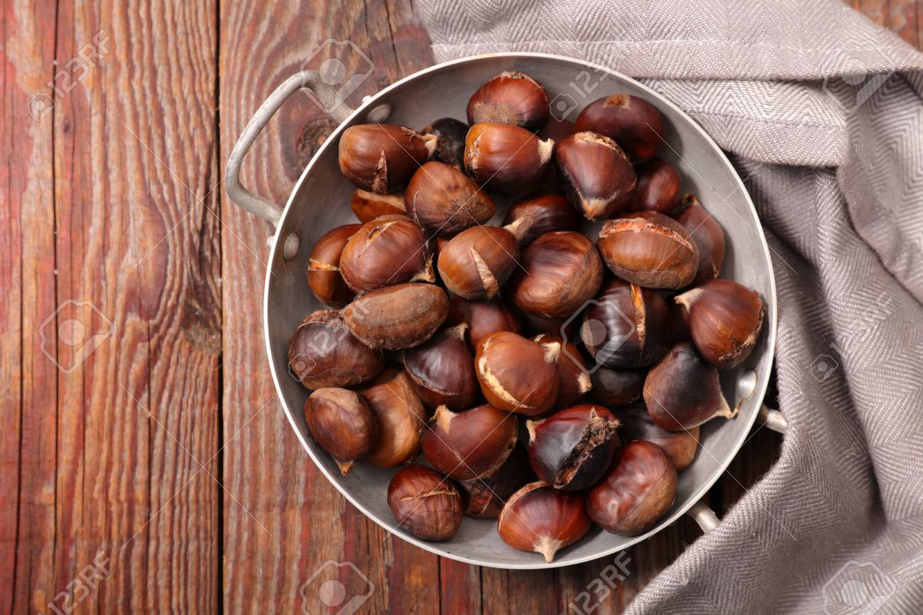 etiam-dictum-ipsum-a-felis