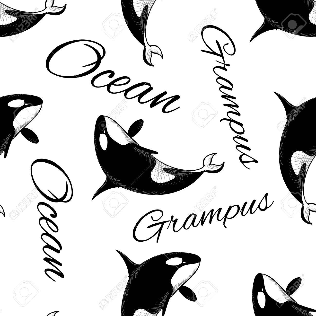 Grampus Killer Whale Seamless Pattern In Doodle Style On White Background Wild Ocean Animal Wallpaper Vector Illustration For Printing Onto Fabric Royalty Free Cliparts Vectors And Stock Illustration Image