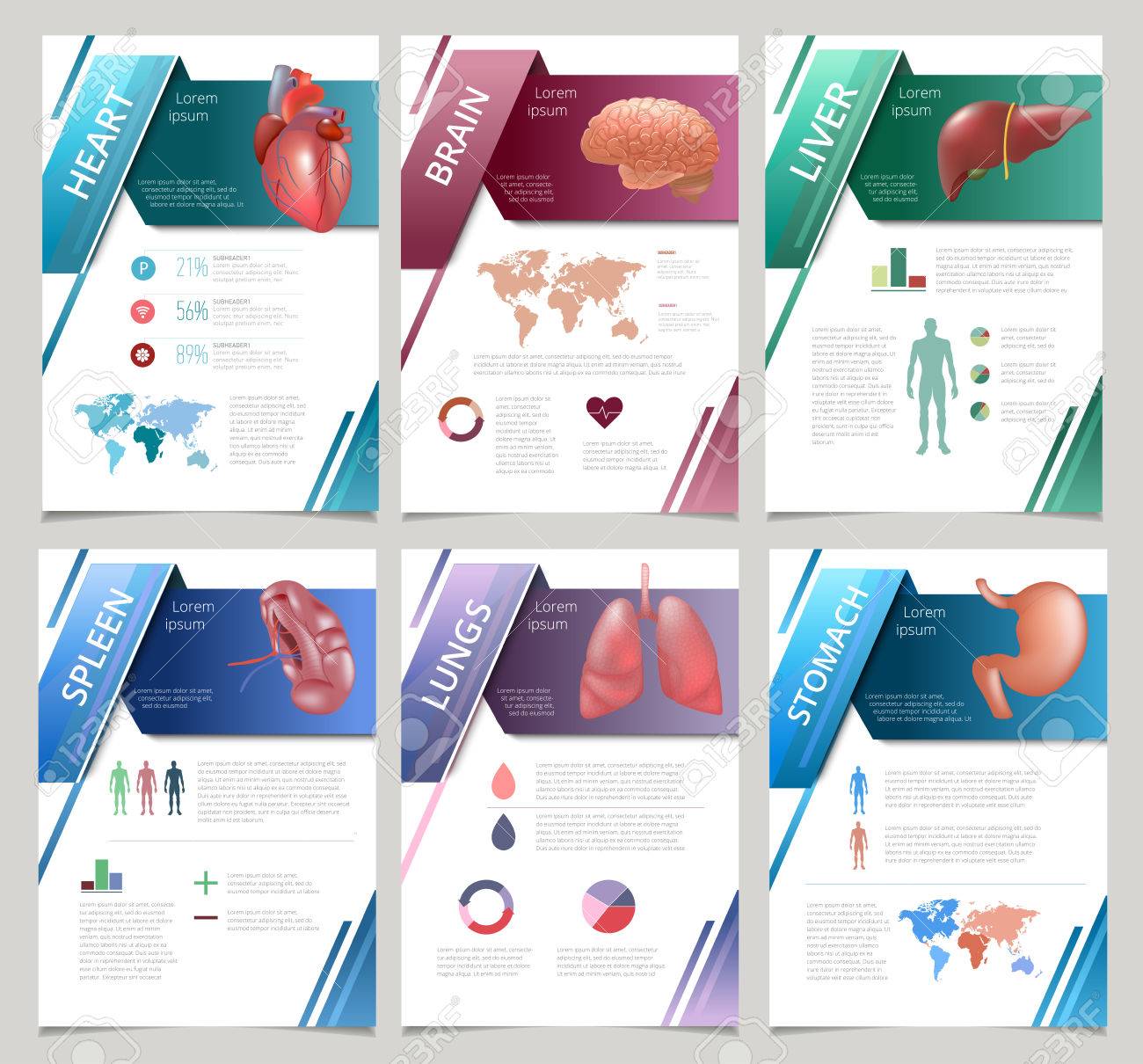 internal human organs infographics set set of medicine poster