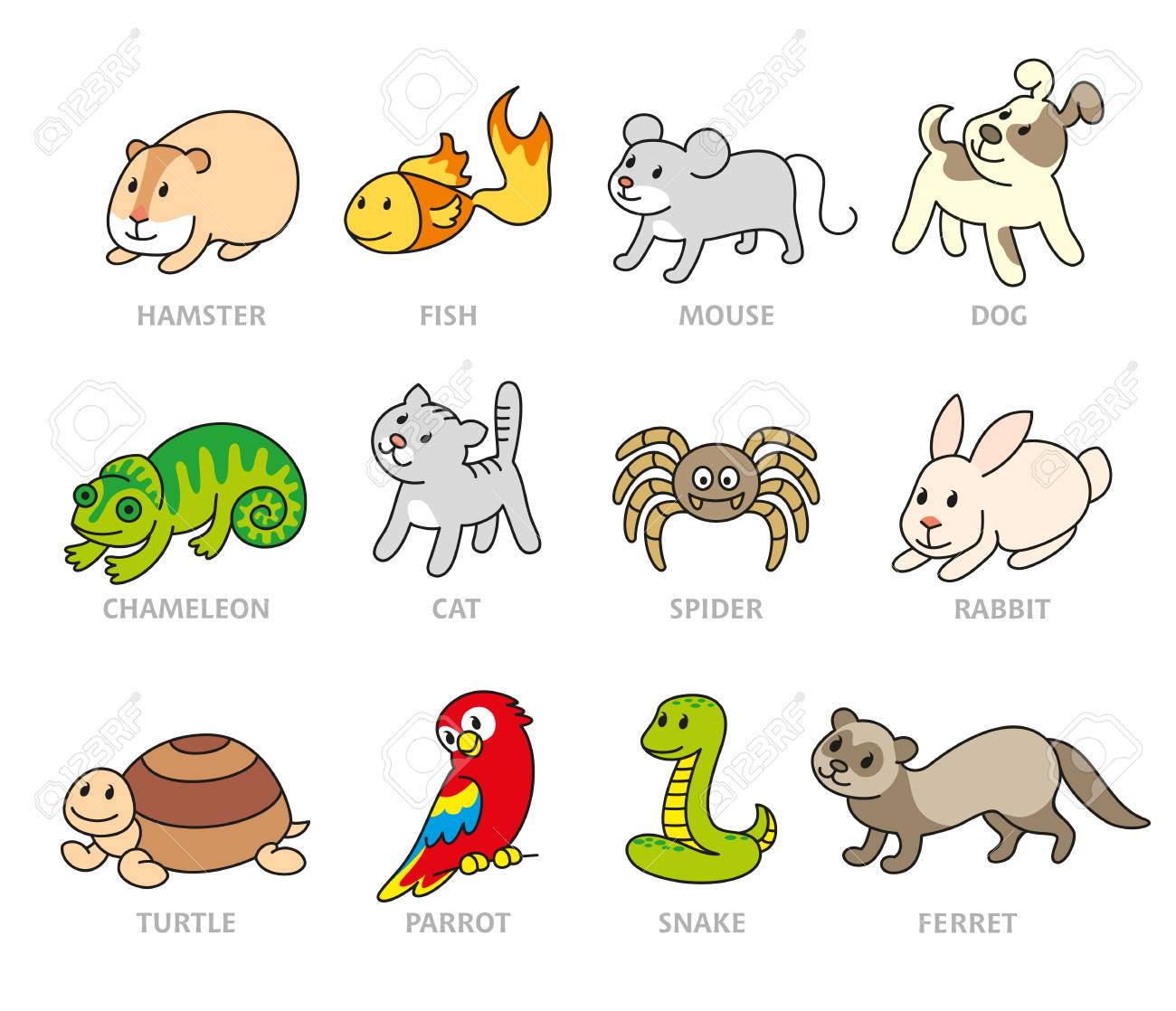 Pet Shop, Set Types Of Pets, Cartoon Illustrations Animals. Logo ...