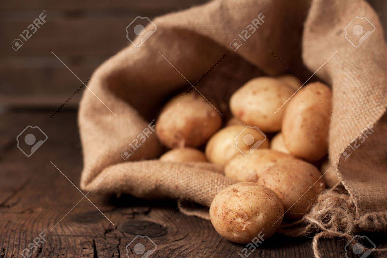 Harvest potatoes in burlap sack on rustic background - 10278367 Harvest potatoes in burlap sack on rustic background - 10278367