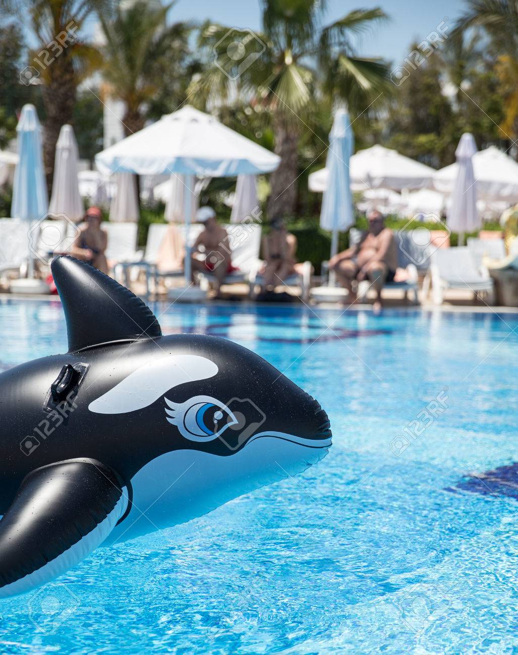 Inflatable Whale Floating In A Swimming Pool Stock Photo, Picture and  Royalty Free Image. Image 28717277.