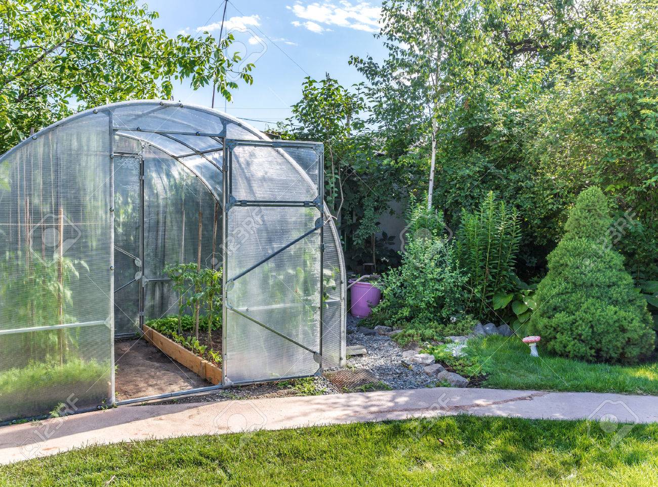 Gewächshaus Im Garten Hinter Dem Haus Mit Offener Tür Lizenzfreie ... Gewächshaus Im Garten Hinter Dem Haus Mit Offener Tür Lizenzfreie ...