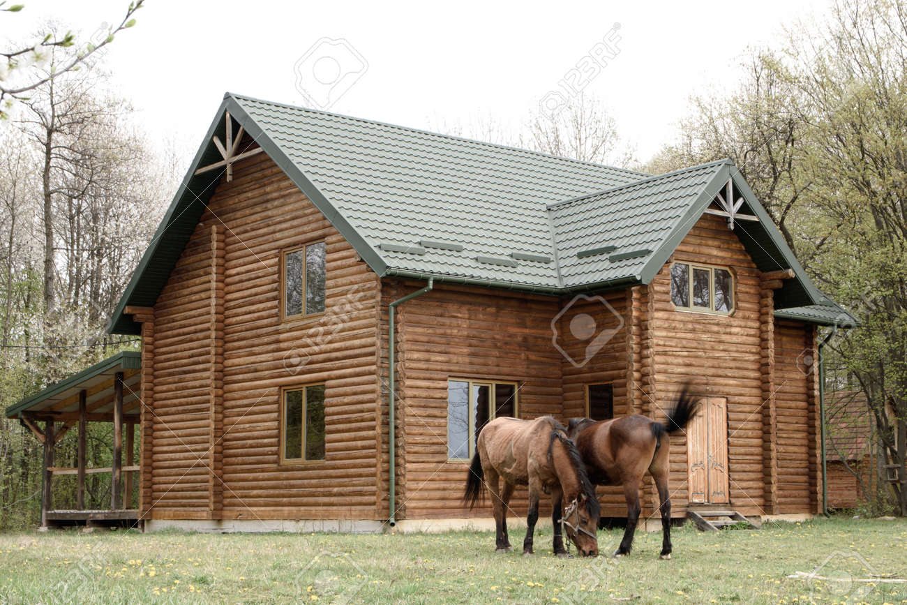 Building A Barn Horse Barn Out of Red Cedar Logs | TikTok, image size:1300x867