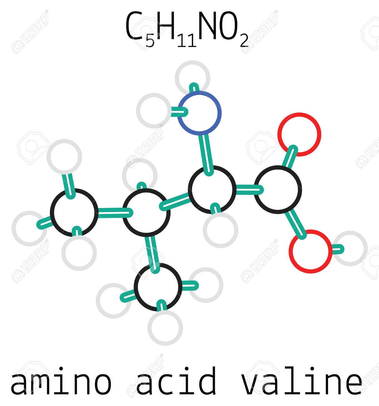 C5h11no2 バリン 3 D アミノ酸分子の白で隔離のイラスト素材 ベクタ Image