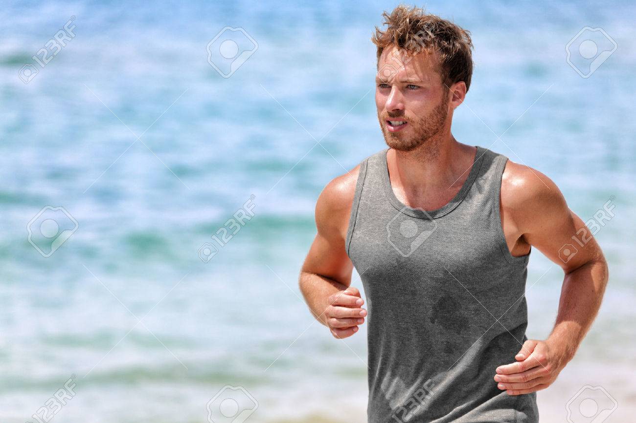 cabela's windstopper sweater