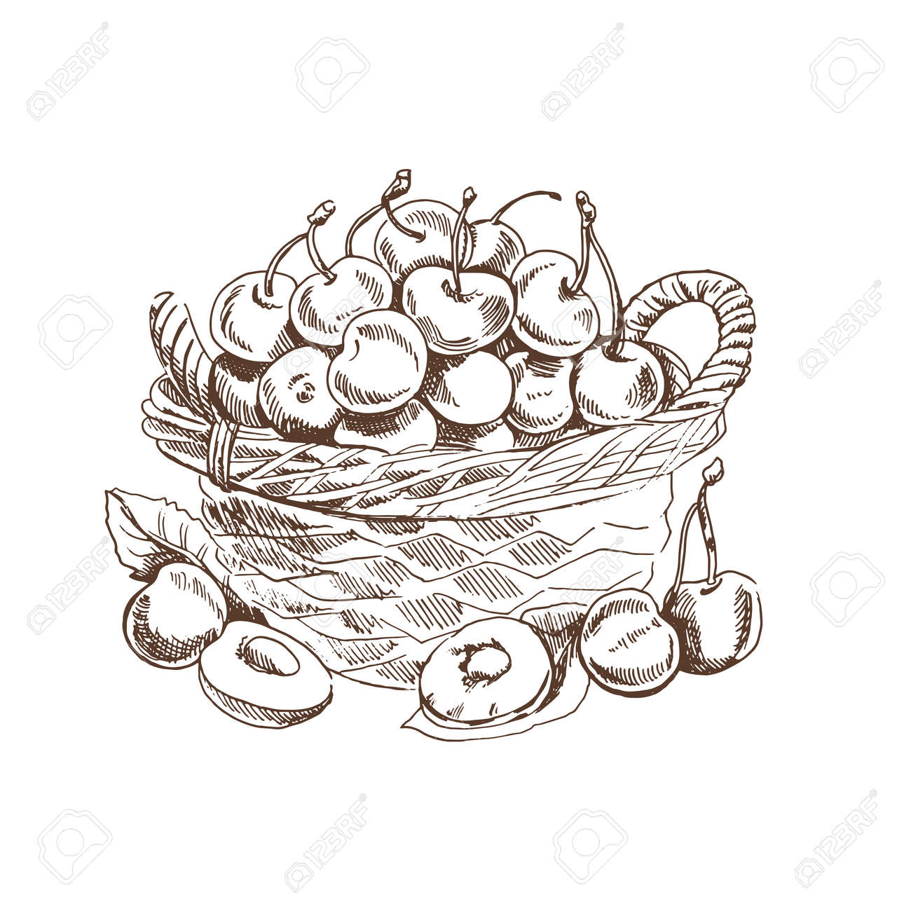 Corbeille De Fruit Dessin Realiste Panier En Osier Dessiné À La Main De Vecteur Avec Des Cerises. Panier De Baies En Osier Dessiné Main Isolé Sur Fond Blanc. Illustration De Style Gravé De Fruits D'été. Idéal Pour