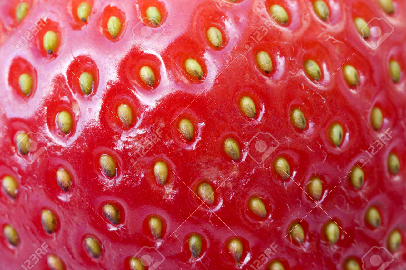 イチゴの皮膚表面に種子や小さな毛を表示詳細 の写真素材 画像素材 Image