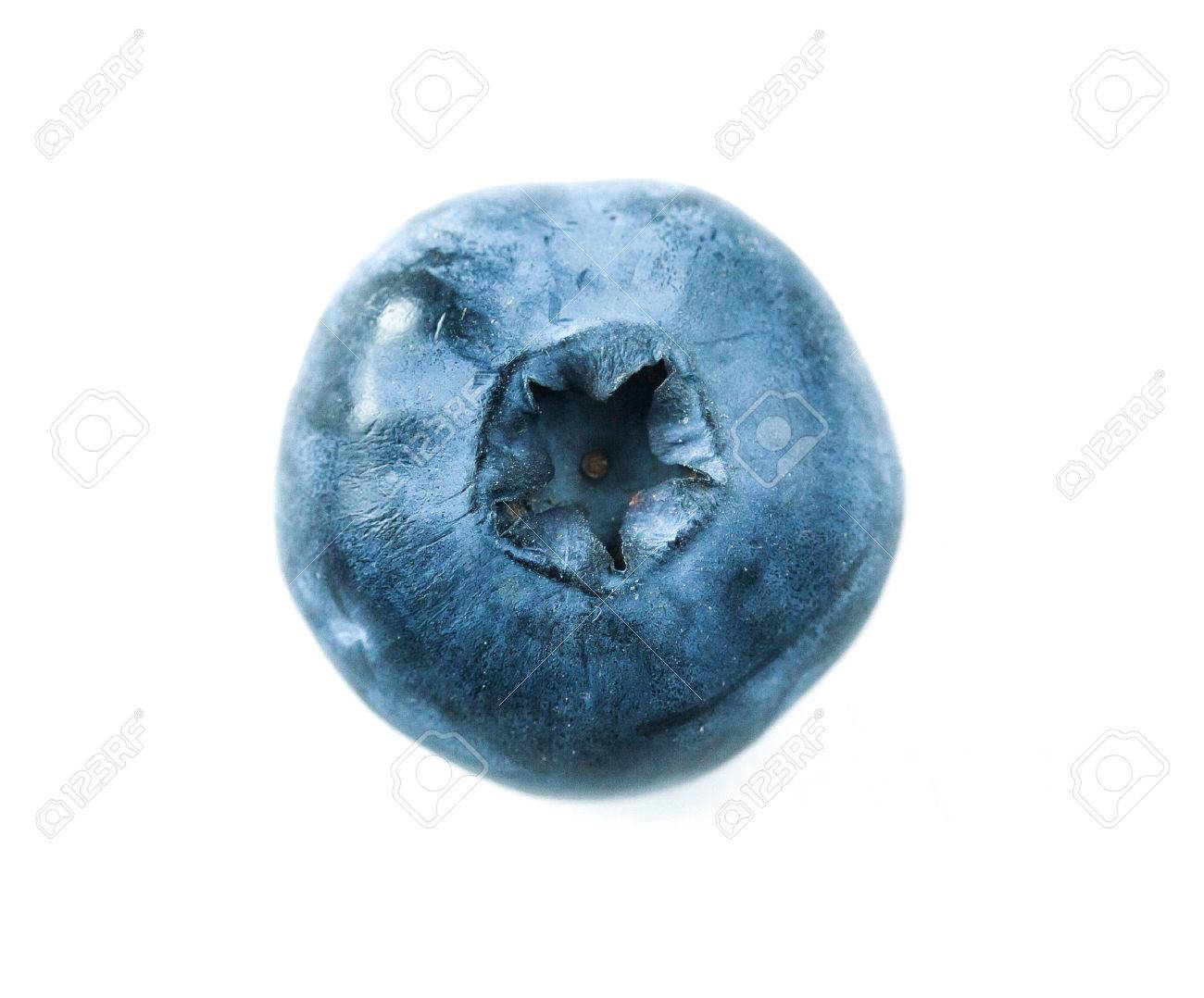 One Blueberry Isolated On The White Background Stock Photo Picture And Royalty Free Image Image