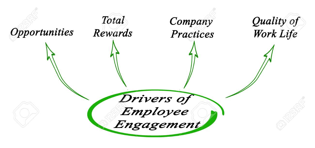 drivers of employee engagement
