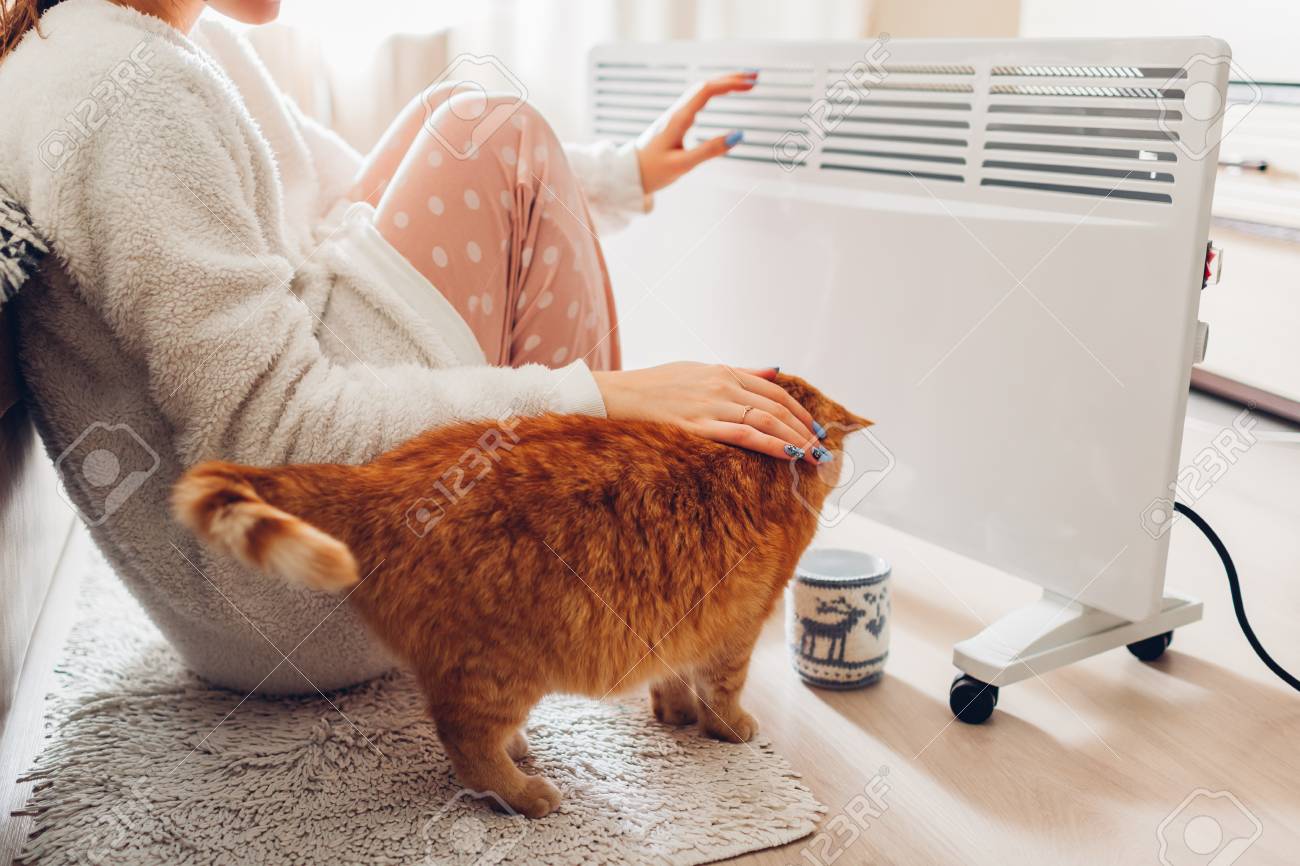 Using heater at home in winter. Woman warming her hands sitting by device with cat and wearing warm clothes. Heating season. - 117973896 Using heater at home in winter. Woman warming her hands sitting by device with cat and wearing warm clothes. Heating season. - 117973896
