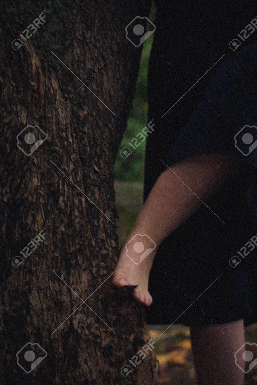 etiam-dictum-ipsum-a-felis