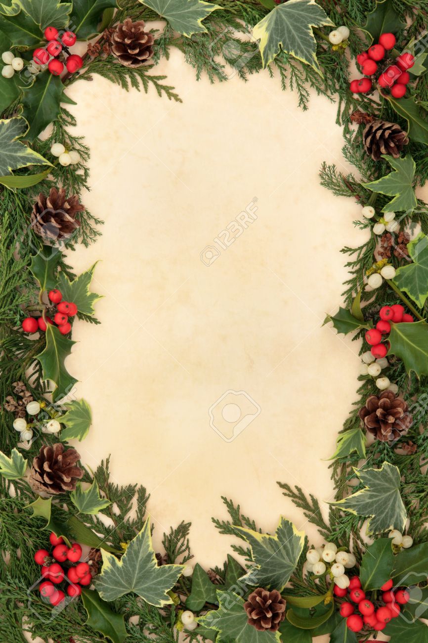 mistletoe border