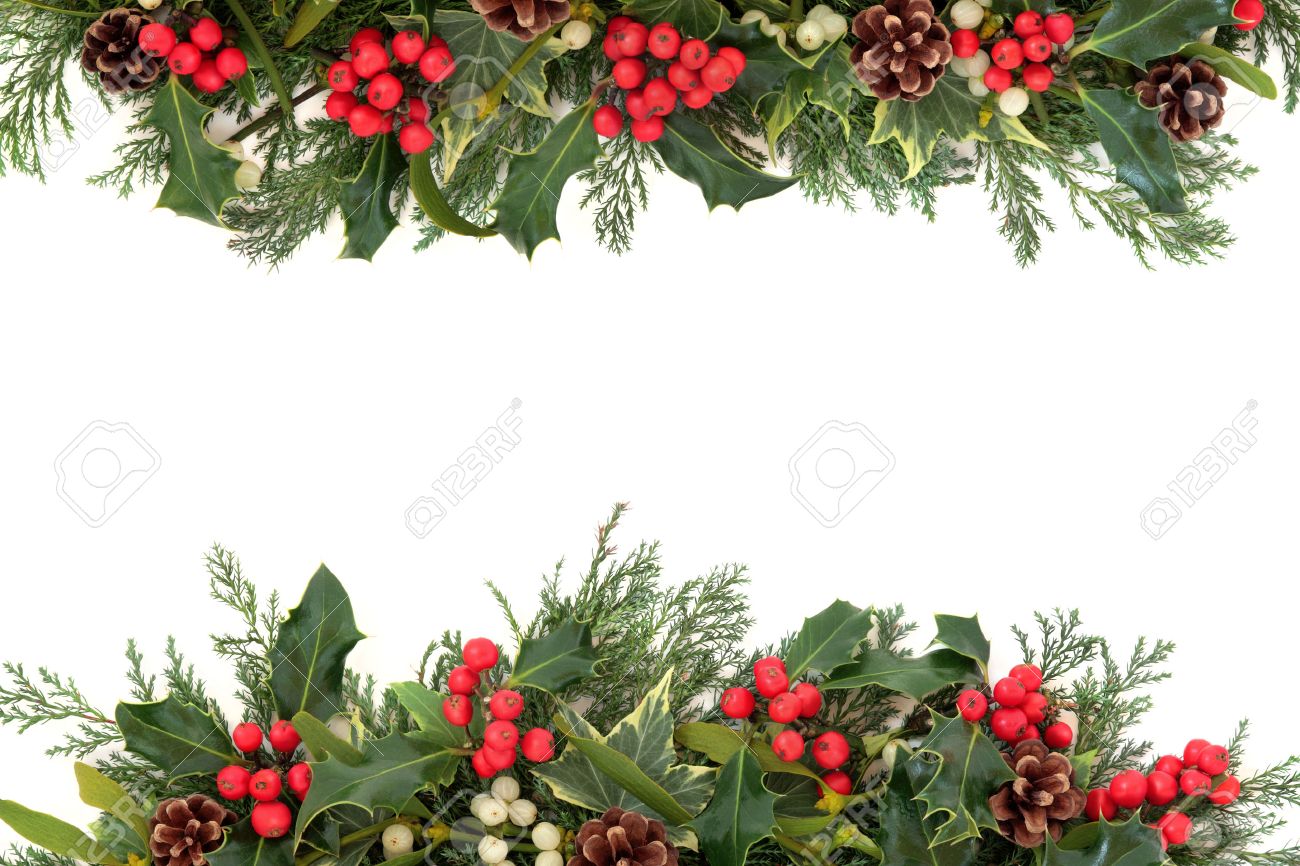 mistletoe border