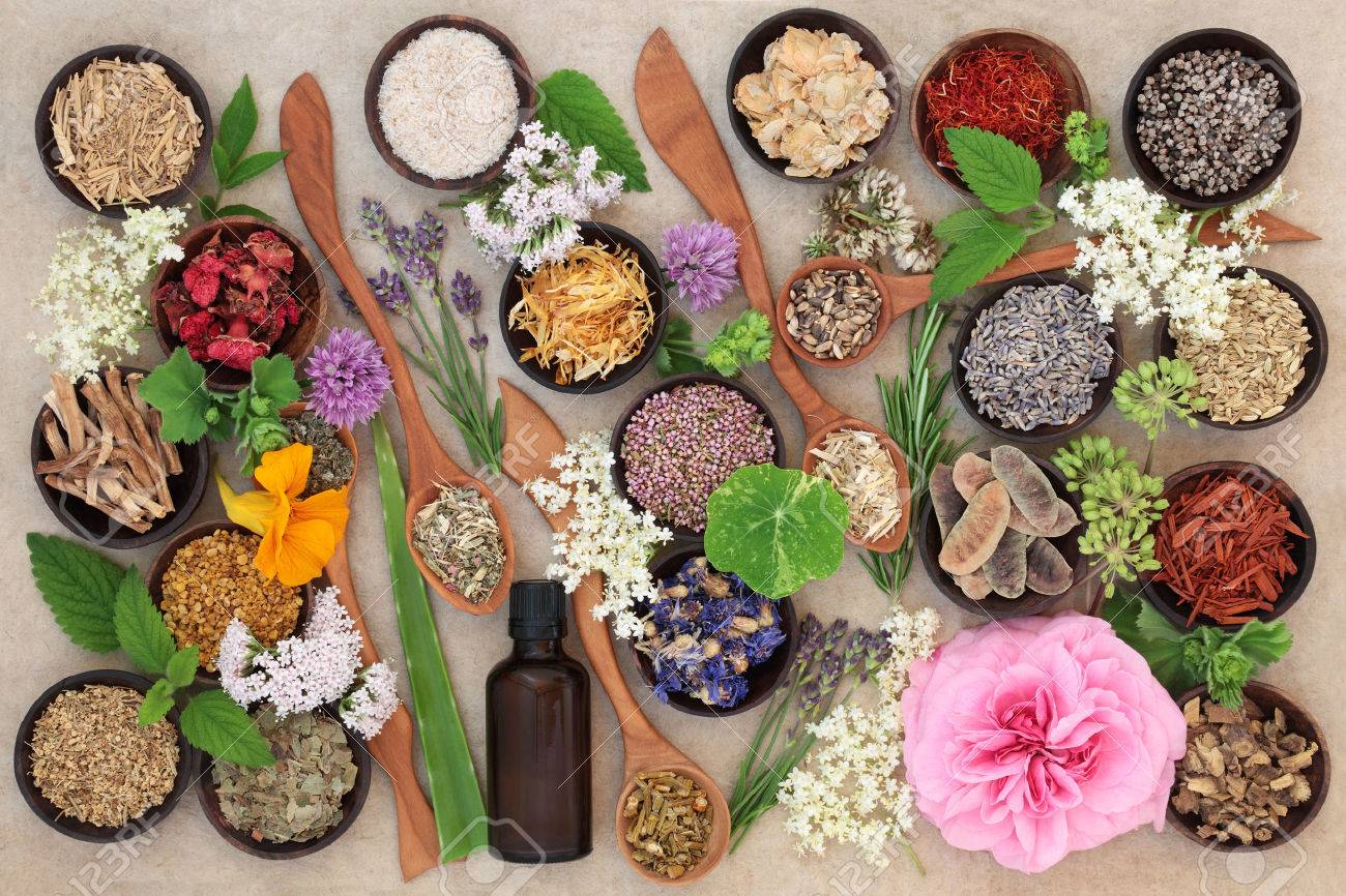 Flower and herb selection used in natural alternative herbal medicine in wooden spoons and bowls with essential oil bottle on hemp paper background. - 65881866 Flower and herb selection used in natural alternative herbal medicine in wooden spoons and bowls with essential oil bottle on hemp paper background. - 65881866