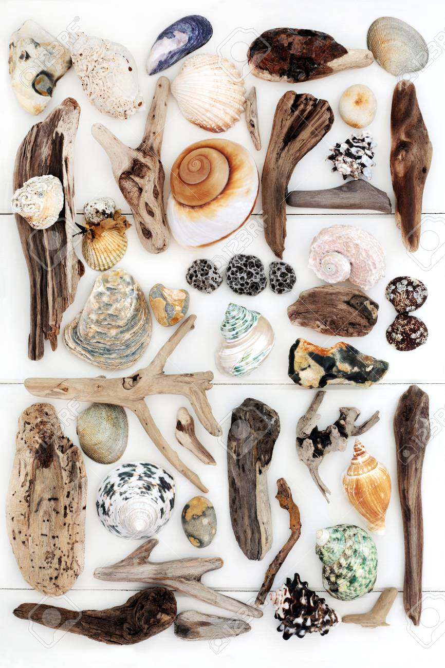 Dessin Abstrait De Bord De Mer Avec Un Panneau De Plage Des Coquillages Du Bois Flotté Des Roches Et Des Algues Sur Un Fond En Bois Blanc En