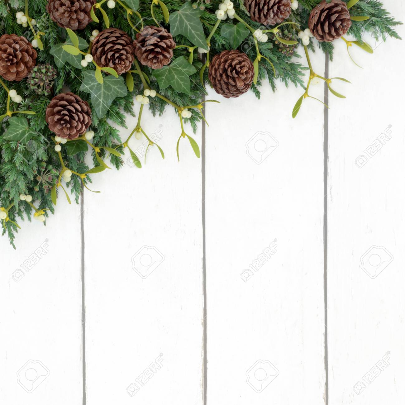 juniper fir mistletoe pine cone and ivy background winter border