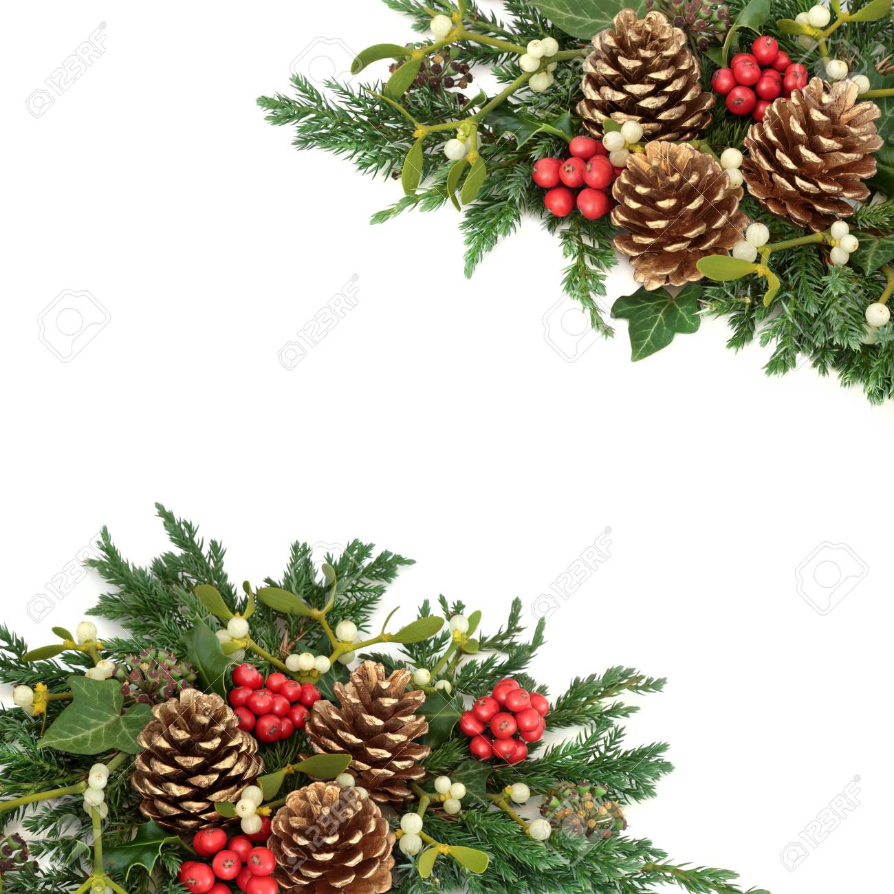 ゴールドの松ぼっくり ホリー アイビー ヤドリギ 杉 ジュニパーとクリスマス飾り枠葉の白い背景の小枝 の写真素材 画像素材 Image
