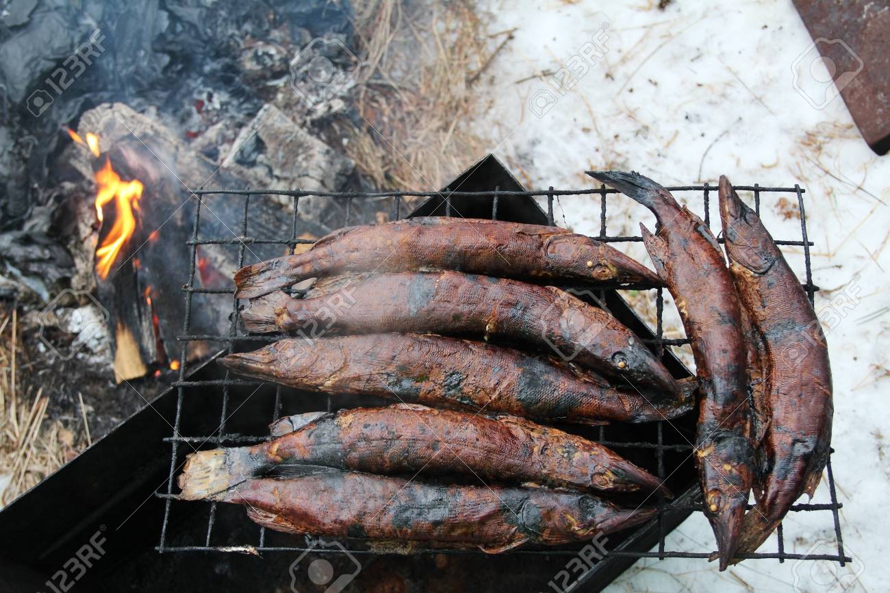 How to smoke fish in smokehouse What can smoke fish 46 How to smoke fish in smokehouse What can smoke fish 16