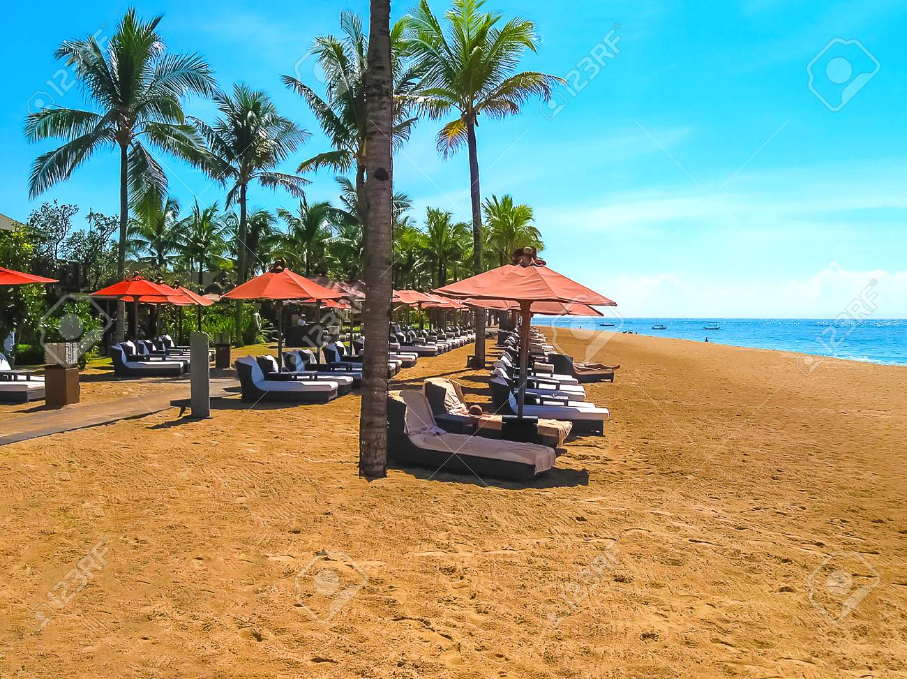 インドネシア バリ島の木ビーチ ビュー の写真素材 画像素材 Image インドネシア バリ島の木ビーチ ビュー の写真素材 画像素材 Image