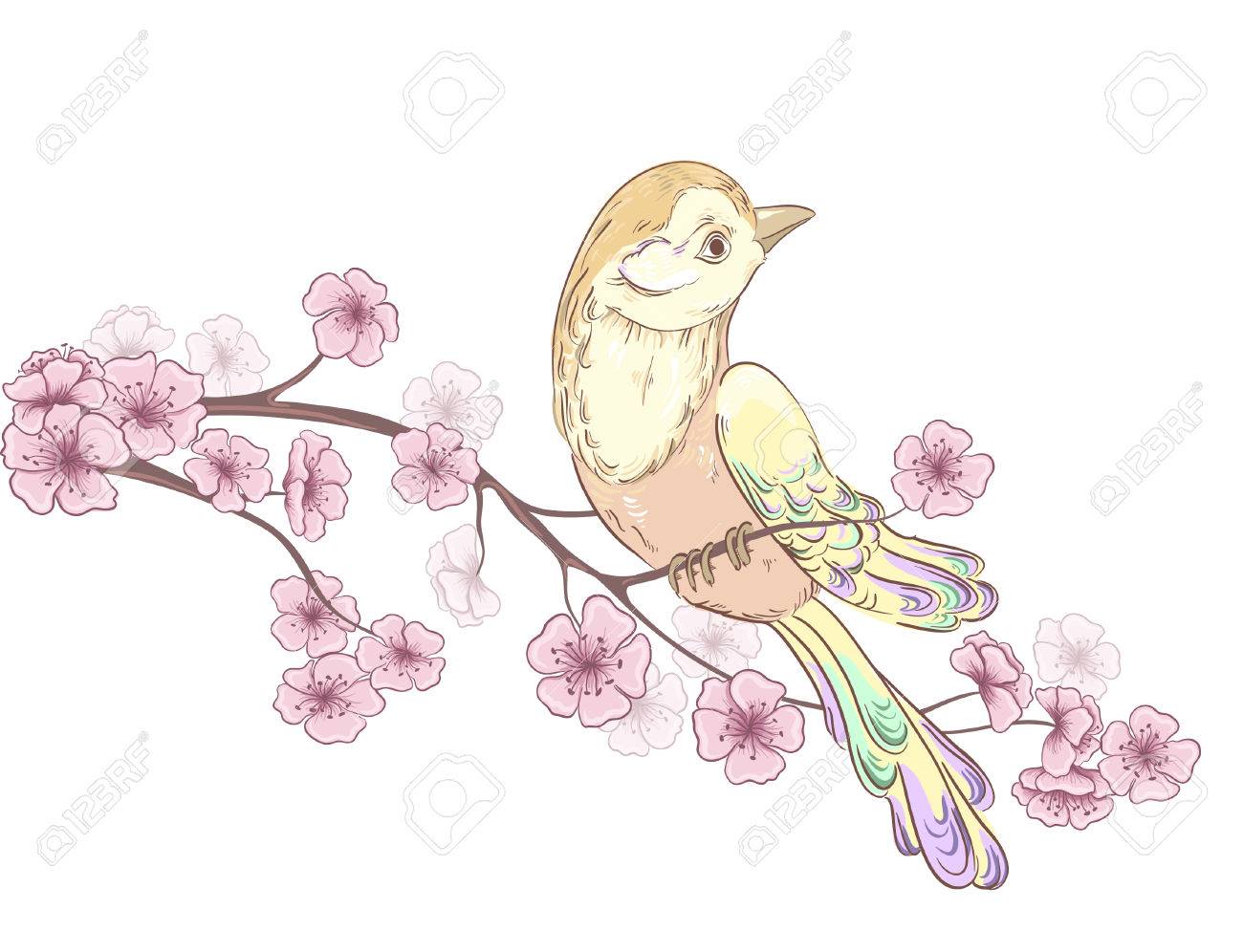 Oiseaux Assis Sur La Floraison Du Cerisier Fleur Décorative Fond Dessin Vector Illustration Main