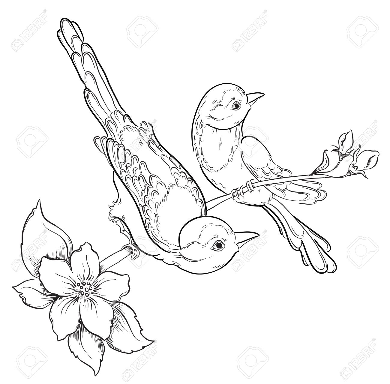 2 羽の鳥に咲く桜の木の上に座ってベクター イラスト花の背景のイラスト素材 ベクタ Image 2 羽の鳥に咲く桜の木の上に座ってベクター イラスト花の背景のイラスト素材 ベクタ Image