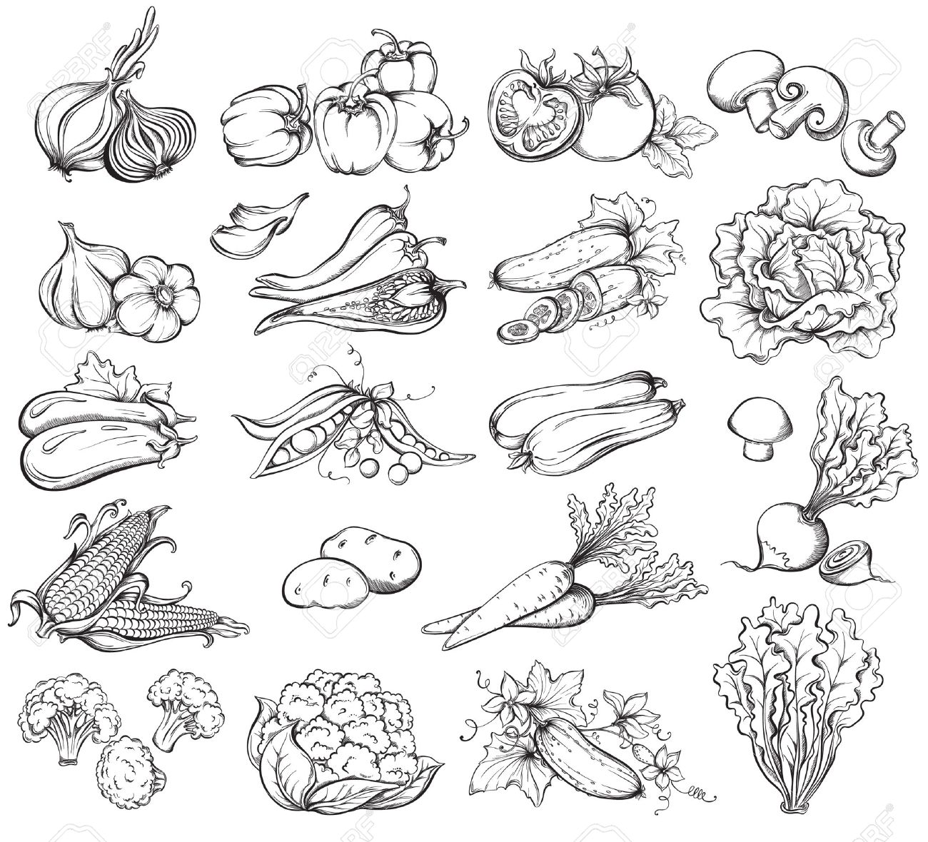 Hand Drawn Vegetables Set. Collection of Vegetables sketch. Vector illustration - 35652467 Hand Drawn Vegetables Set. Collection of Vegetables sketch. Vector illustration - 35652467