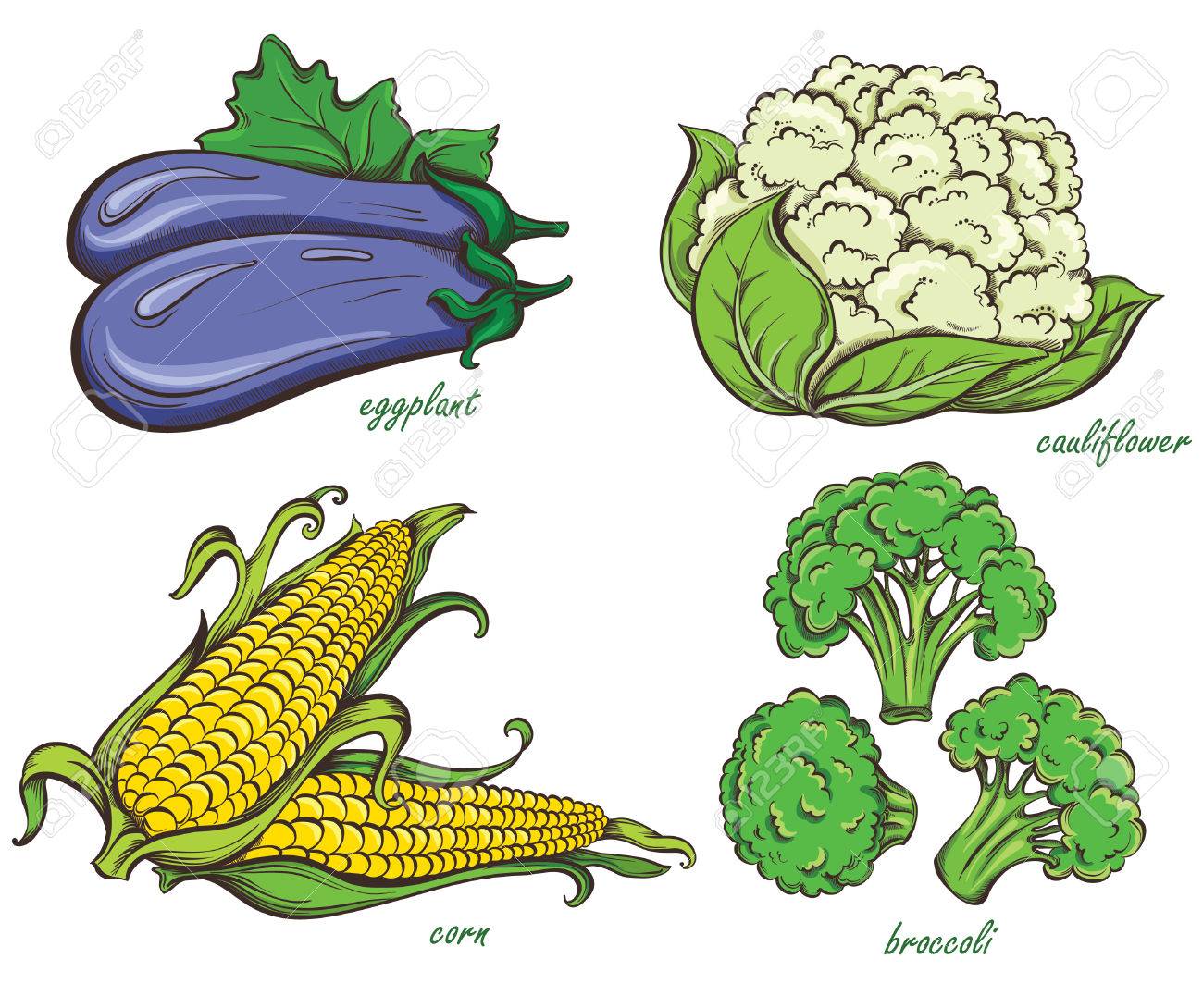 手描きの野菜セット トウモロコシ カリフラワー ブロッコリー ナスの白い背景で隔離されました ベクトル イラストのイラスト素材 ベクタ Image