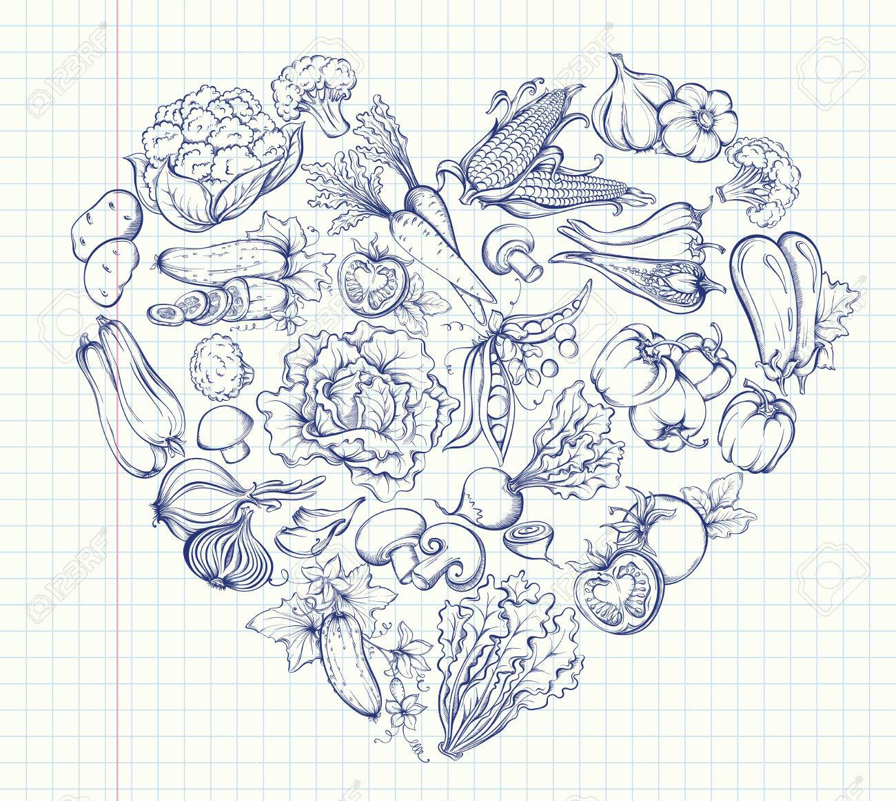 Icons of various vegetables in the form of heart shape. Outline image on notebook page background. Vector hand drawn illustration of vegetables in retro style - 40460598 Icons of various vegetables in the form of heart shape. Outline image on notebook page background. Vector hand drawn illustration of vegetables in retro style - 40460598