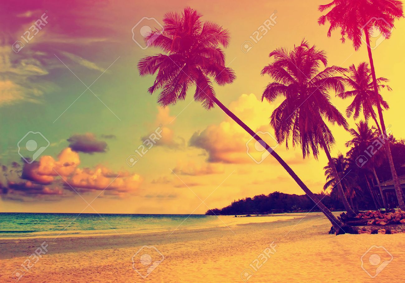 Beautiful tropical beach with silhouettes of palm trees at sunset - 53587027 Beautiful tropical beach with silhouettes of palm trees at sunset - 53587027
