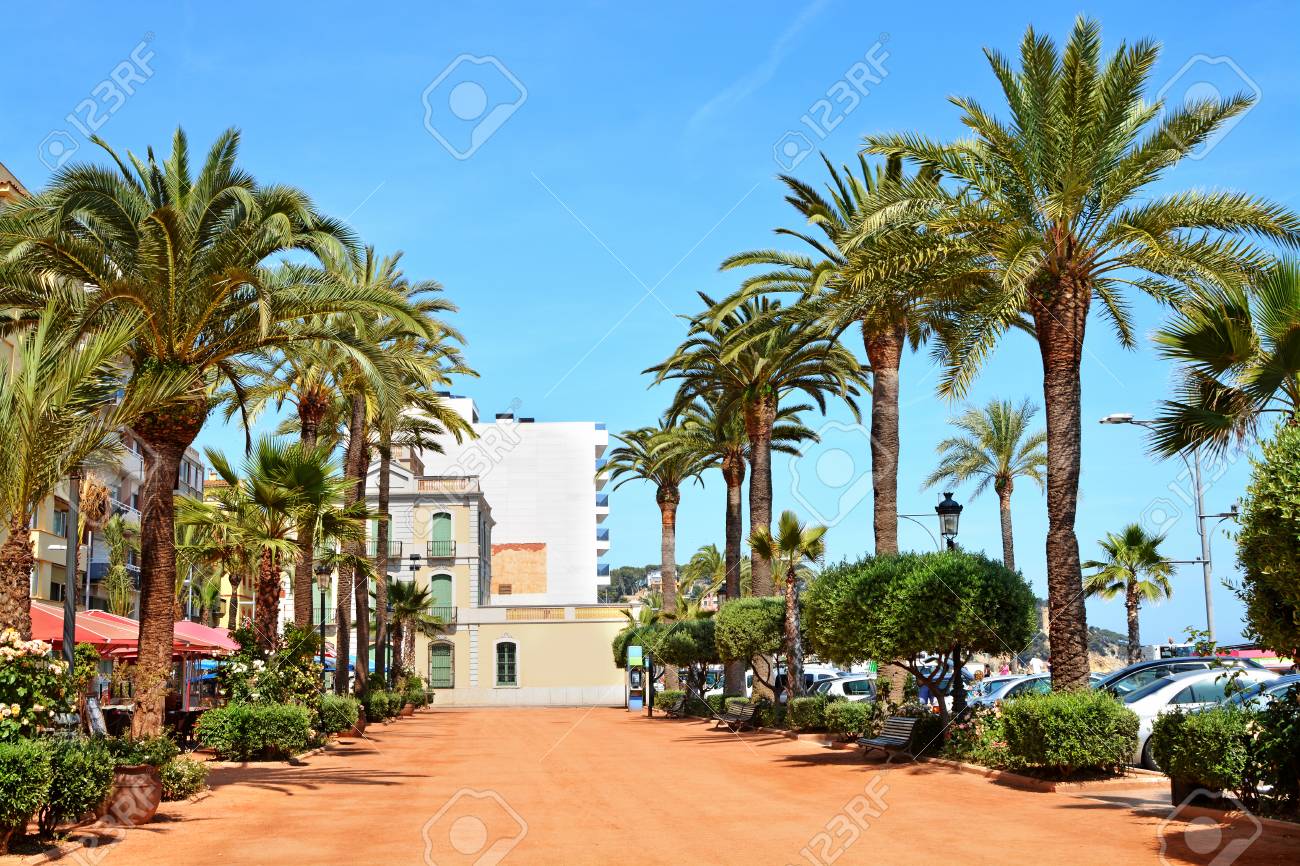 Lloret De Mar Street View View Of Street In Lloret De Mar. Costa Brava, Spain Stock Photo, Picture  And Royalty Free Image. Image 53591423.