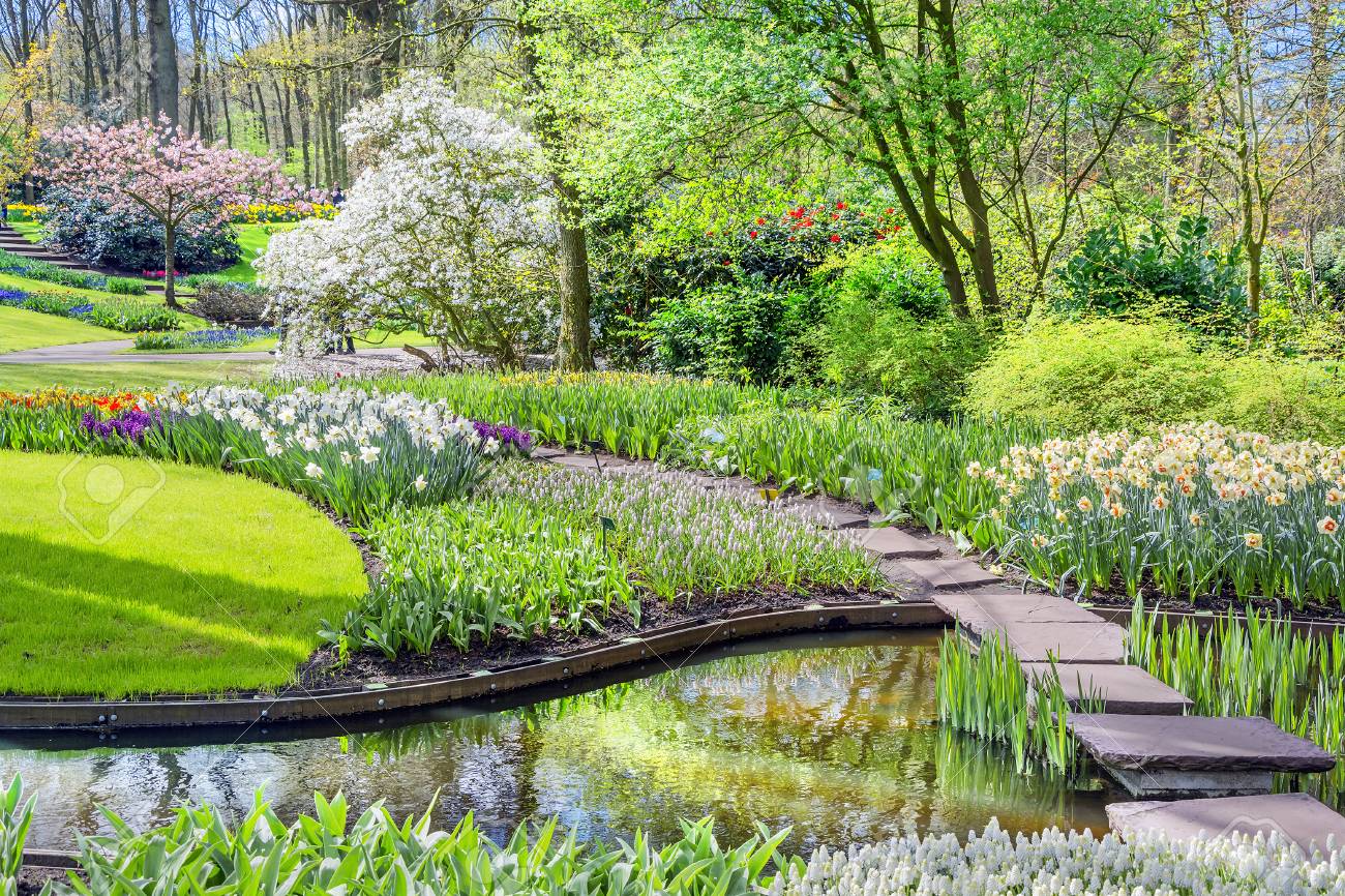 春の花の自然 花とオランダのチューリップのキューケンホフ公園 オランダの美しい屋外風景 の写真素材 画像素材 Image