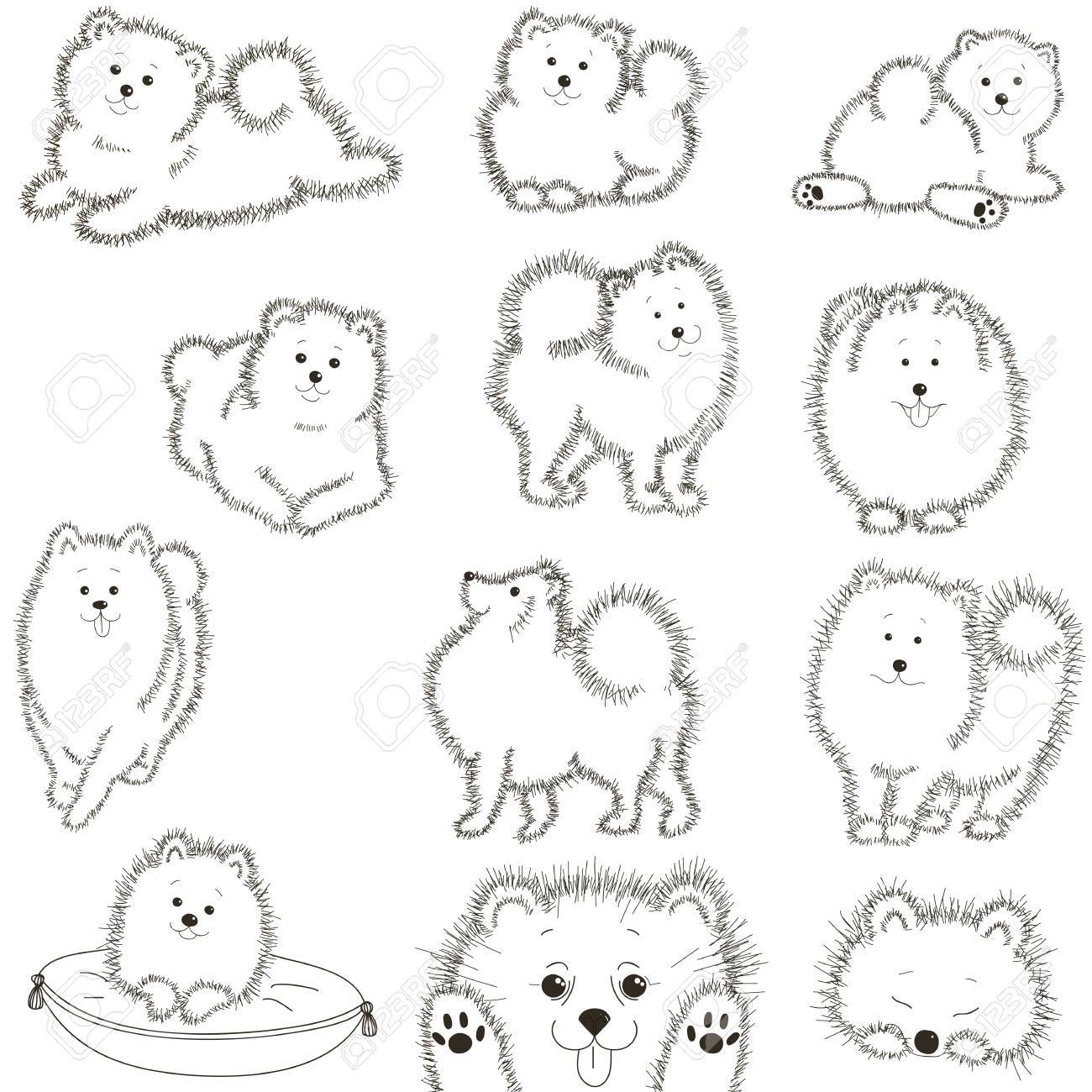 ふわふわの黒と白の犬を設定します ベクトルの図 のイラスト素材 ベクタ Image ふわふわの黒と白の犬を設定します ベクトルの図 のイラスト素材 ベクタ Image