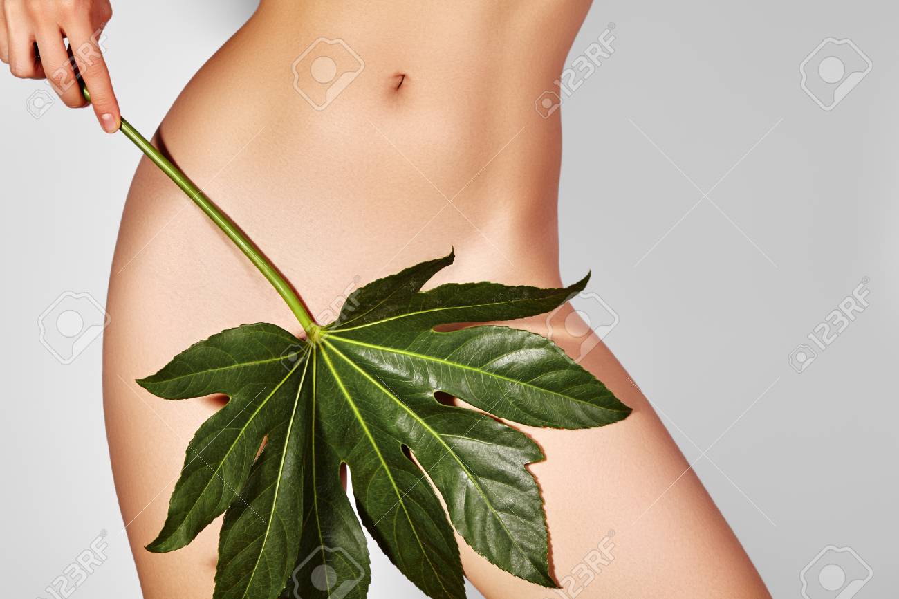 Waxing For Beautiful Woman Brazilian Laser Hair Removal Bikini